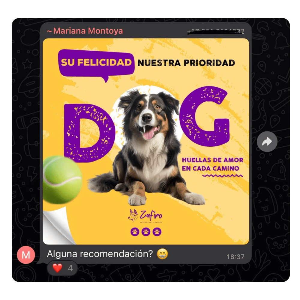 Ejemplo de diseño hecho en Canva 3